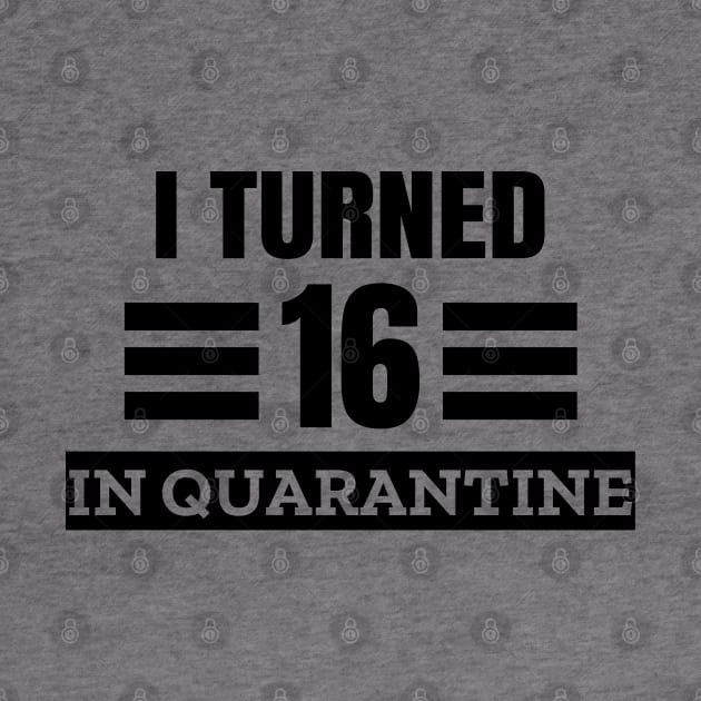 I Turned 16 In Quarantine by LunaMay